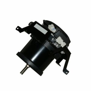 Carrier Motor Outdoor