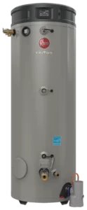 Rheem Triton Heavy Duty SS