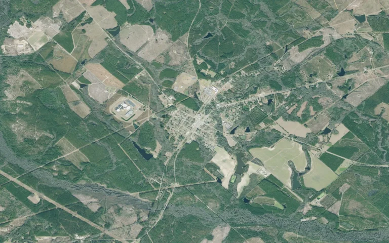 Aerial view centered on Alamo, Georgia