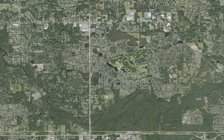 Aerial view centered on Bloomingdale, Florida