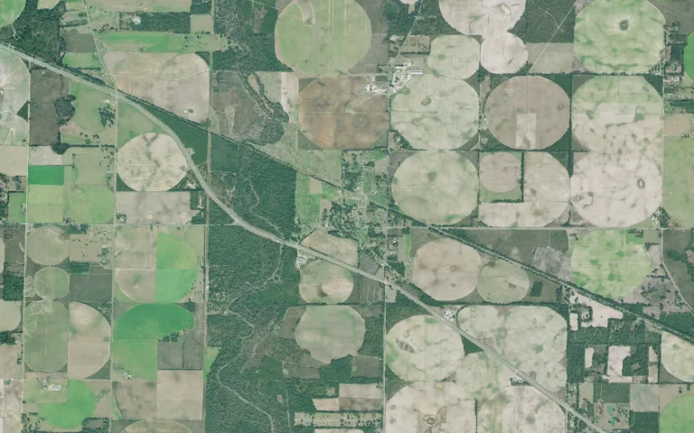 Aerial view centered on Brinson, Georgia