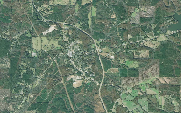 Aerial view centered on Buchanan, Georgia