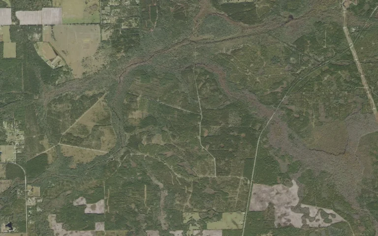 Aerial view centered on Bunnell, Florida