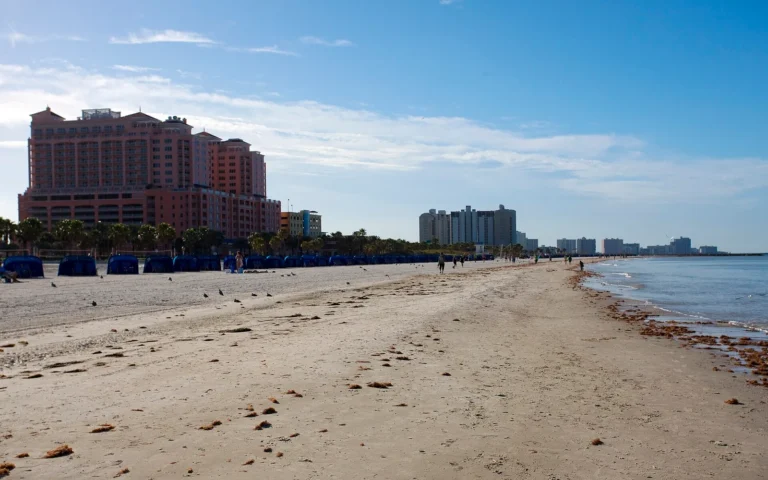 Clearwater, Florida community view