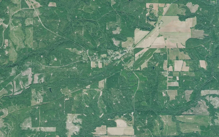 Aerial view centered on Coleman, Georgia