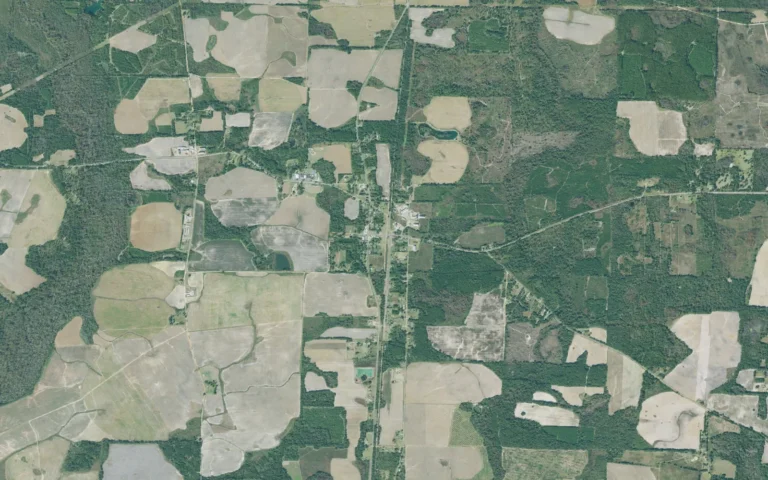 Aerial view centered on Damascus, Georgia
