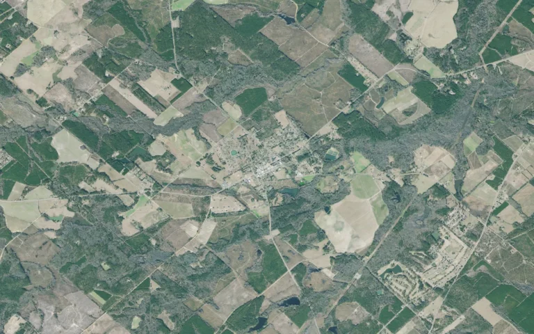 Aerial view centered on Dexter, Georgia