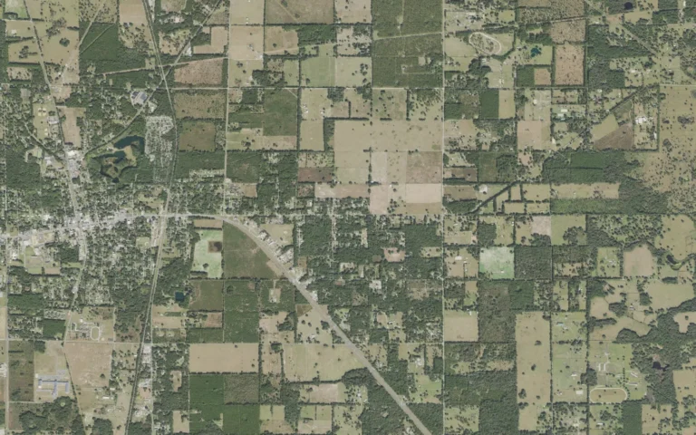 Aerial view centered on East Williston, Florida
