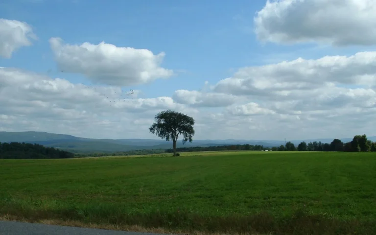 Egremont, Massachusetts community view
