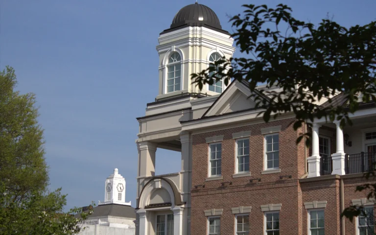 Gainesville, GA community scene
