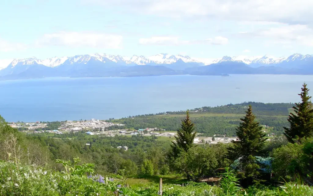 HVAC service area in Kachemak