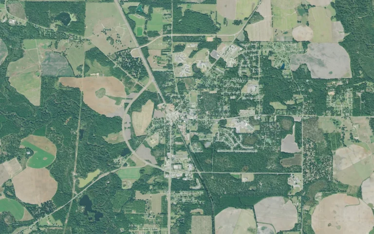 Aerial view centered on Leesburg, Georgia