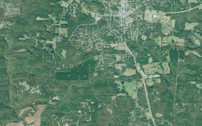 Aerial view centered on Lincoln Park, Georgia