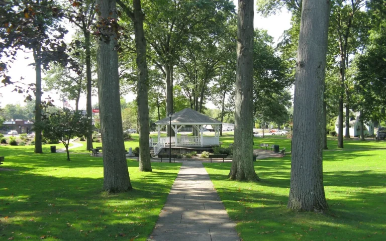 Ludlow, Massachusetts community view