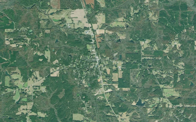 Aerial view centered on Luthersville, Georgia