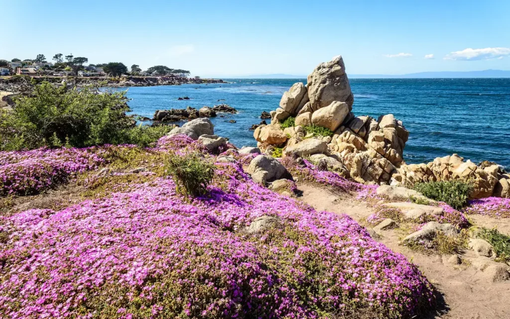 HVAC service area in Pacific Grove