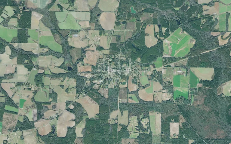 Aerial view centered on Pavo, Georgia