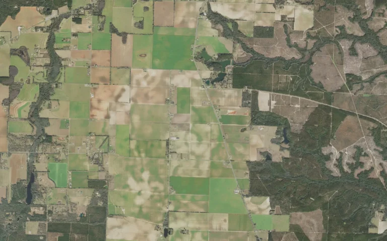 Aerial view centered on Pine Level, Florida