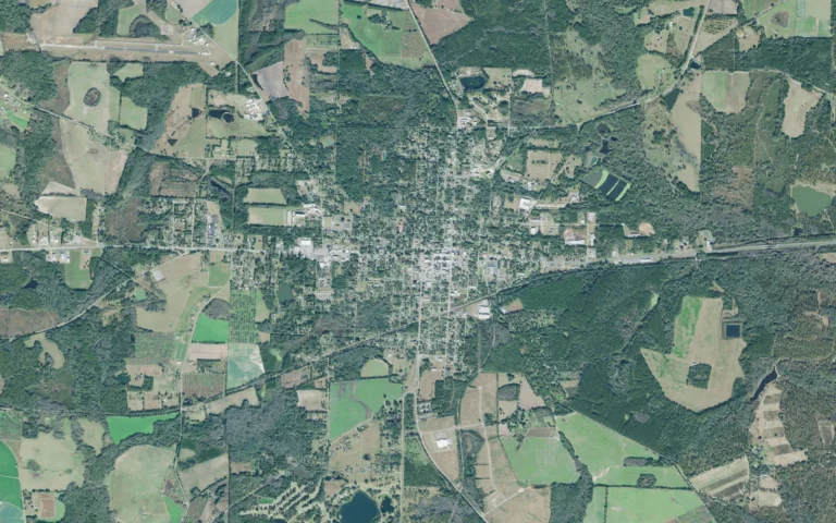 Aerial view centered on Quitman, Georgia