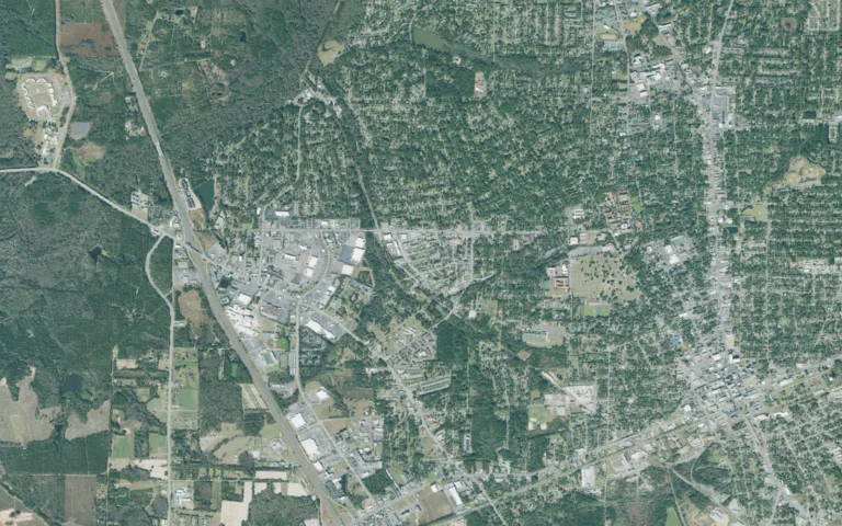 Aerial view centered on Remerton, Georgia
