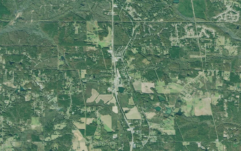 Aerial view centered on Sunny Side, Georgia