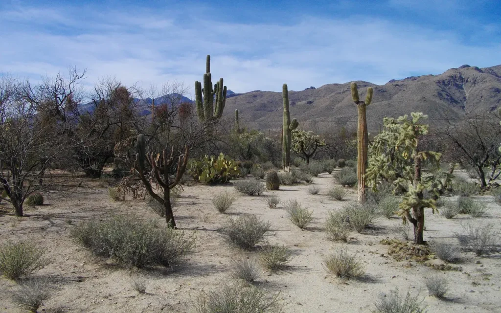 HVAC service area in Tanque Verde