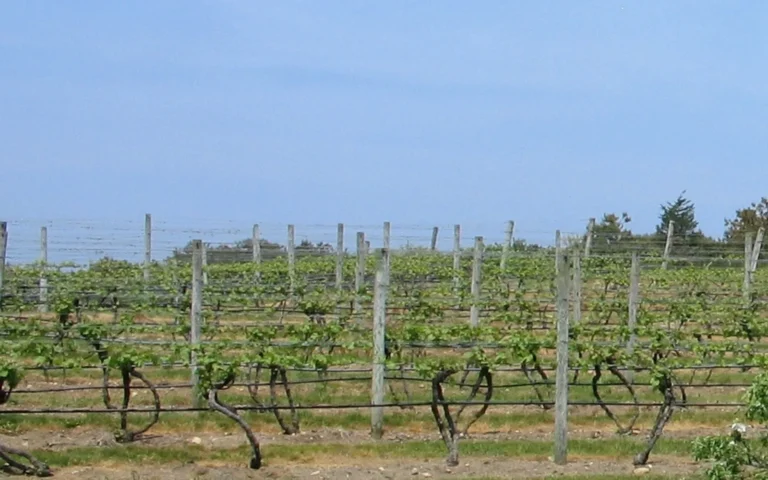 Truro, Massachusetts community view