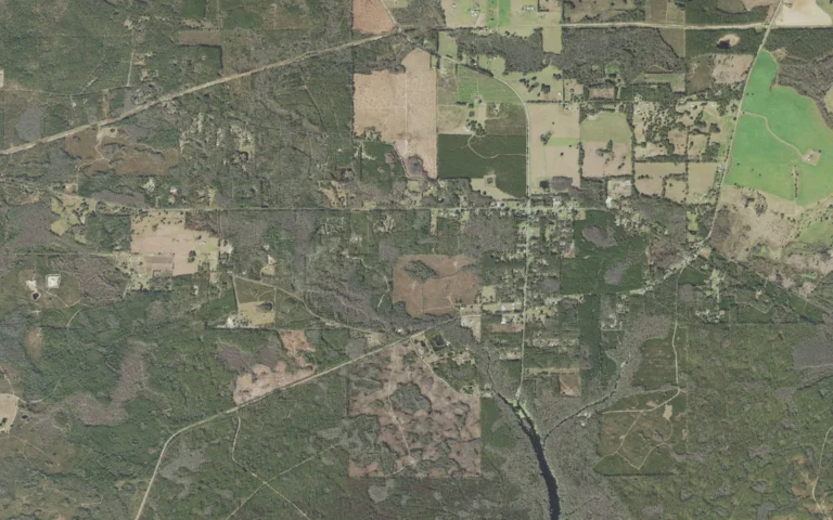 Aerial view centered on Wacissa, Florida