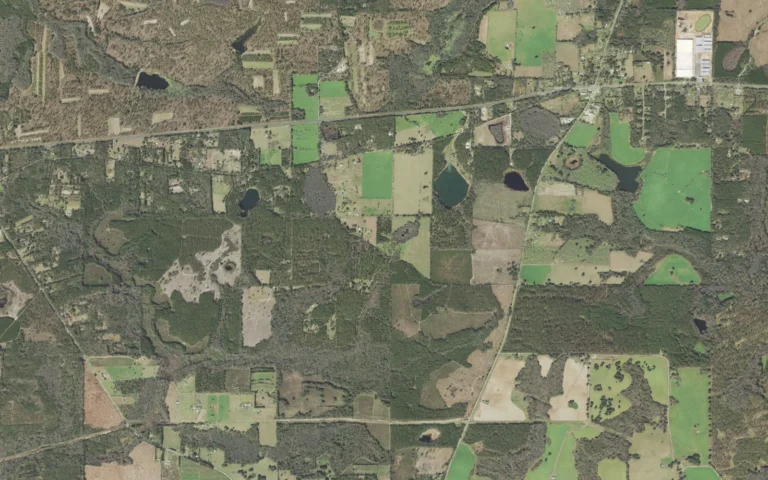 Aerial view centered on Waukeenah, Florida