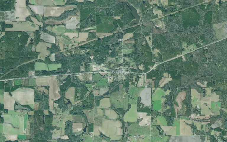 Aerial view centered on Whigham, Georgia